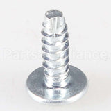 WB1X1515 GE Screw