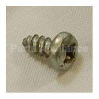 WB1X681 GE Screw