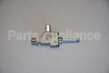 WB21K21 GE Vlv Burner R