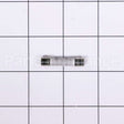 WB27X10454 GE Fuse 250V 15A.