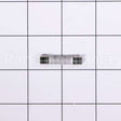 WB27X10454 GE Fuse 250V 15A.