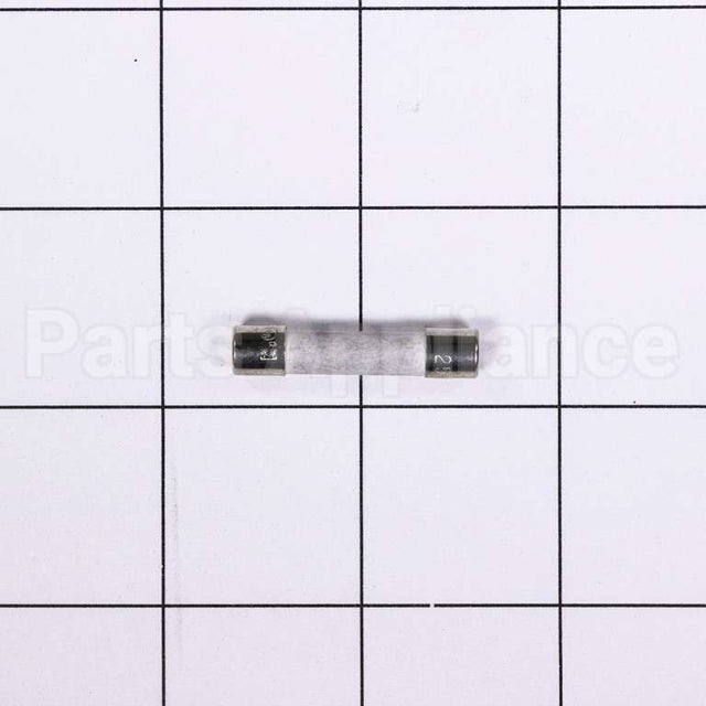 WB27X10454 GE Fuse 250V 15A.
