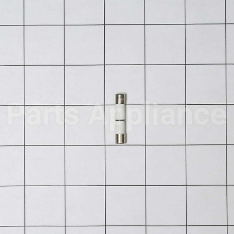 WB27X10928 GE Fuse