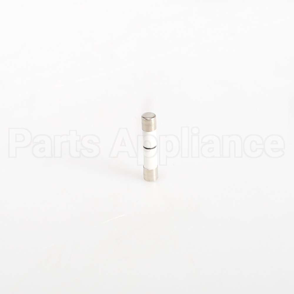 WB27X10928 GE Fuse