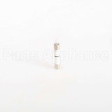 WB27X10928 GE Fuse