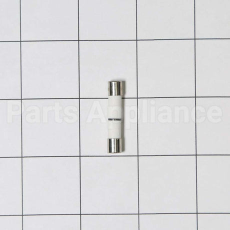 WB27X11099 GE Fuse