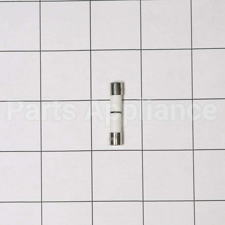 WB27X25389 GE Fuse