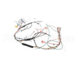WC-13315 Compatible Curtis Harnessassembly, Control 120/220V