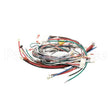 WC-13450 Compatible Curtis Harnessassembly, Complete G4Tp2T