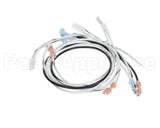 WC13200-120 Wilbur Curtis Harness Assy, Warmers 120V