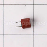 WD21X24482 GE Control Board Fuse 3.1A