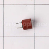 WD21X24482 GE Control Board Fuse 3.1A