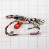 WD21X25601 GE Dc Harness Asm