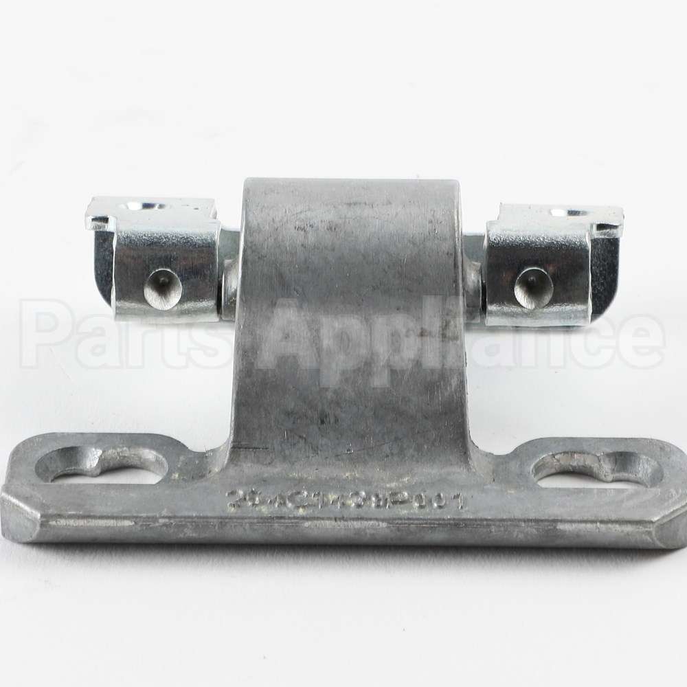 WE01X31005 GE Hinge Asm