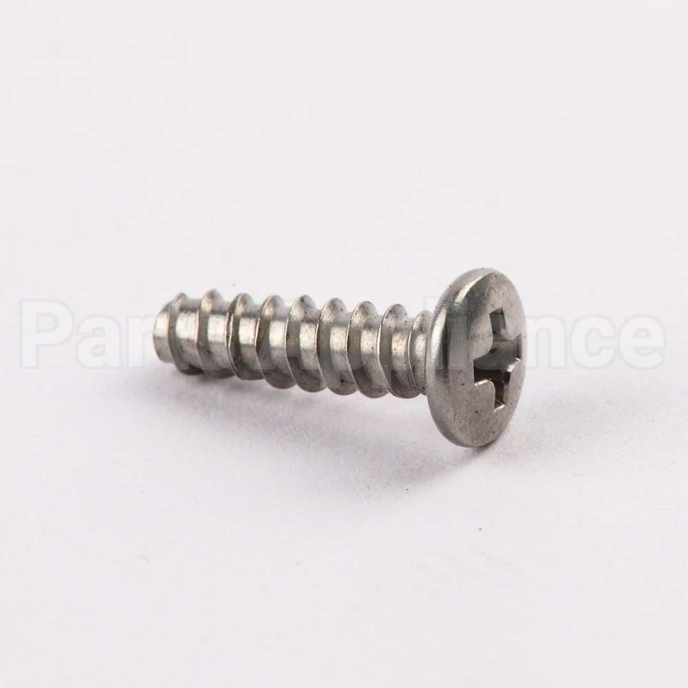 WE02X10060 GE Screw