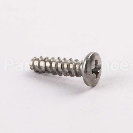 WE02X10060 GE Screw