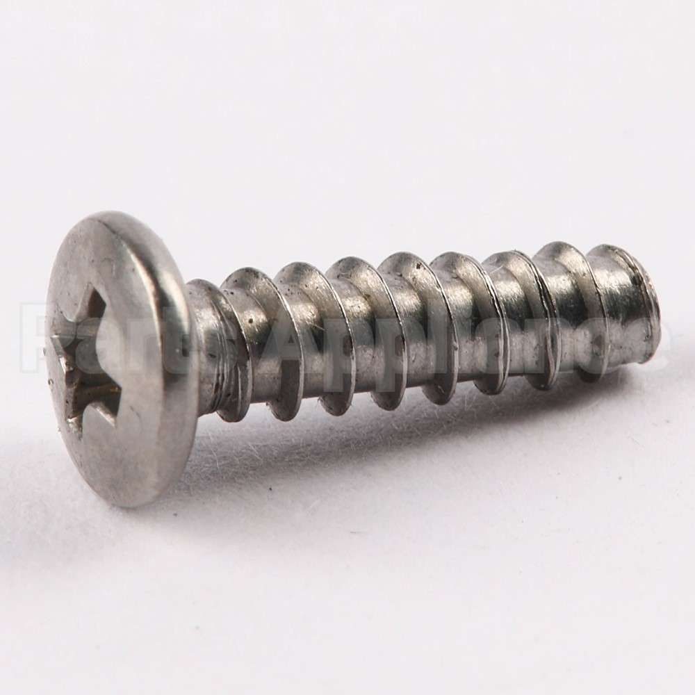 WE02X10060 GE Screw