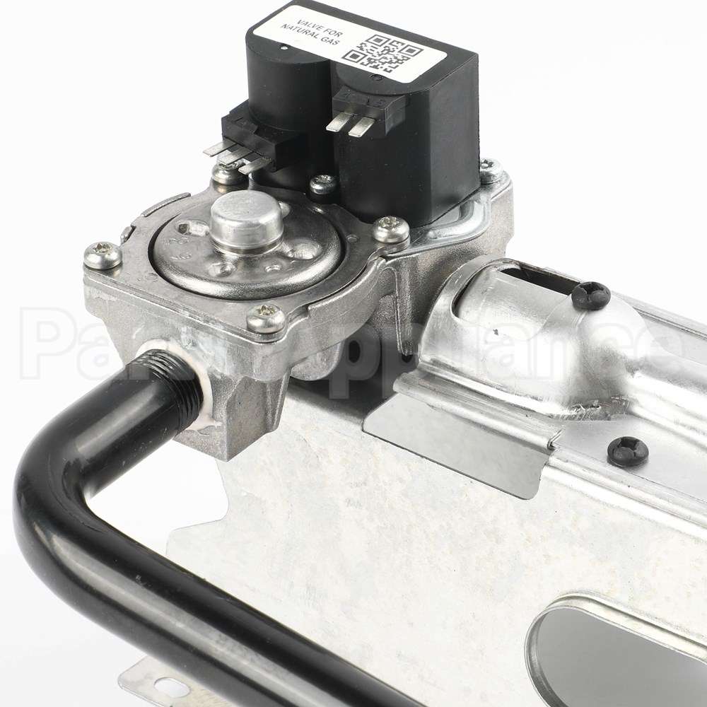 WE11X35317 GE Valve & Burner