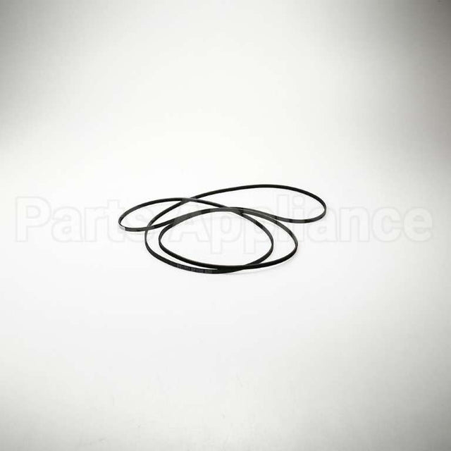 WE12X10011 GE Belt