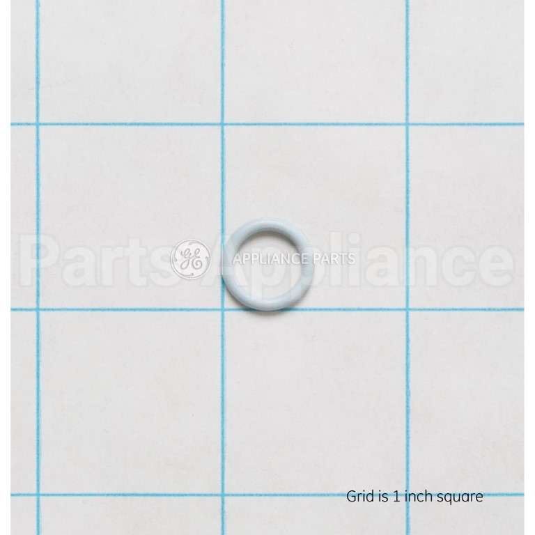 WE1M461 GE O Ring
