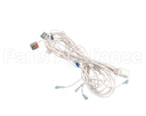 WH0128 Bki Harness