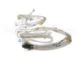WH0167 Bki Wiring Harness, Control Plate