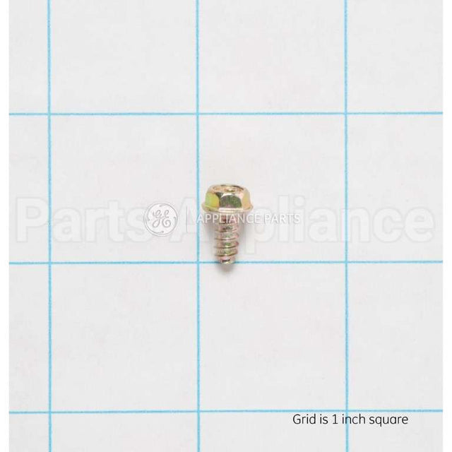 WH02X10197 GE Screwst4.4*9.5