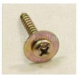 WH02X10200 GE Screw_Washer_St4*25