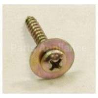 WH02X10200 GE Screw_Washer_St4*25