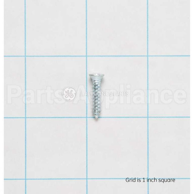 WH02X10248 GE Screw Comb Flat Head 8