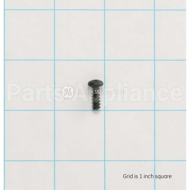 WH02X10372 GE Scr 8-16 Pl Pnt15 .500 S