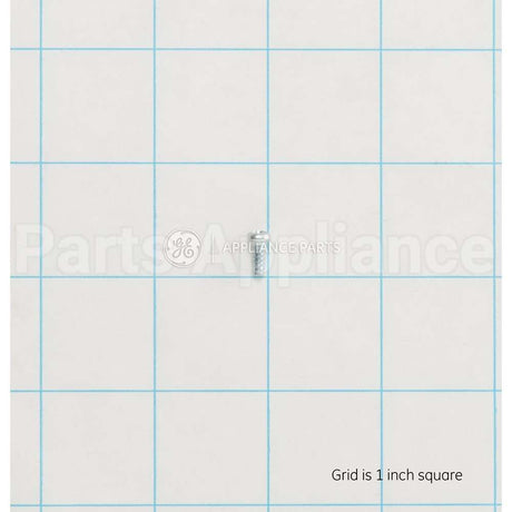 WH02X10381 GE Scr 4-16 H/L Pnt10 .315S