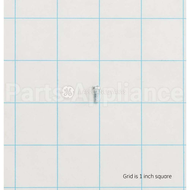 WH02X10381 GE Scr 4-16 H/L Pnt10 .315S