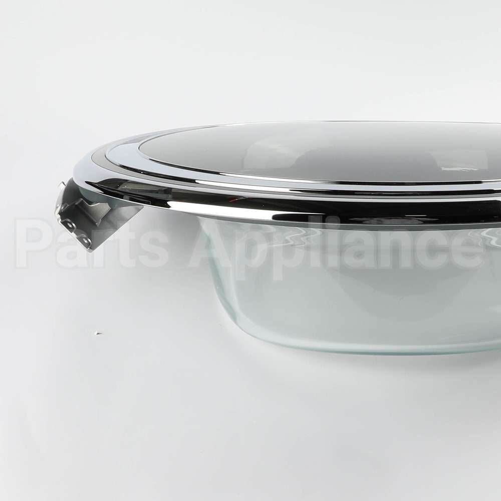 WH10X29525 GE Washer Door