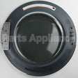 WH10X29537 GE Washer Door