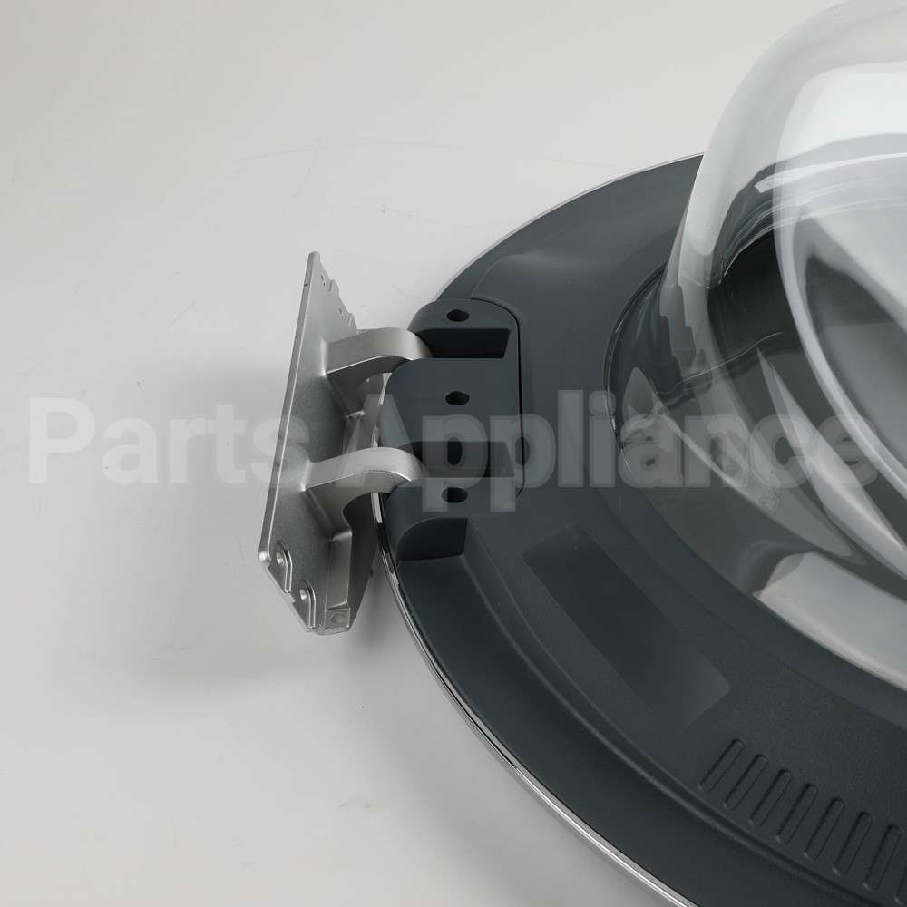 WH10X29537 GE Washer Door