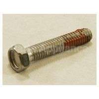 WH2X1107 GE Screw