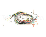 WHKGT-2 Cleveland Harness; Kgt