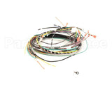 WHKGT-2 Cleveland Harness; Kgt