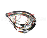 WHSGLT1 Cleveland Wiring Harness; Sglt1