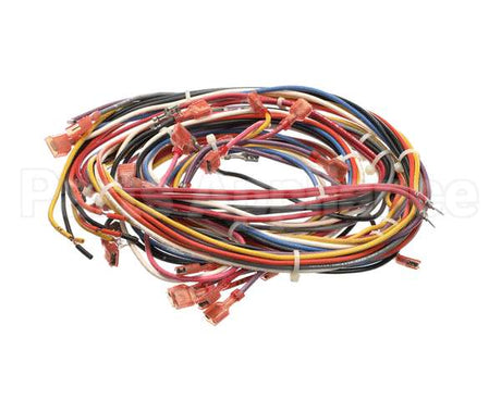 WHSGLT4-PT Cleveland Harness; Pt/Sgl-T4