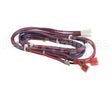 WIR03423 Trane Wire, Harness, Return Air Temp/Humidity