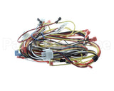 WIR04138 Trane Wire; Harness-Upflow 2 Stage