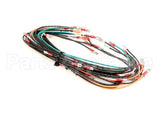 WIR0583SP Frymaster Wire Assembly, Gc/Gbc/Gsms Without Bl