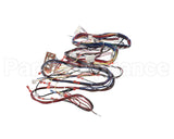 WIR06678 Trane Wire, Harness, Reliatel Controls. Includ
