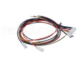 WIR07598 Trane Wire Harness 9Pin