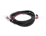WIR07692 Trane Wire Harness Xover Bcxd
