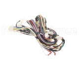 WIR09914 Trane Wire Harness Power Controls