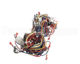 WIR10014 Trane Wire Harness Controls - Rtrm