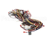 WIR10014 Trane Wire, Harness, Controls - Rtrm Common -